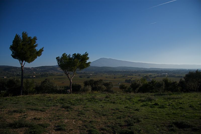 Ventoux garigue