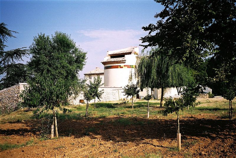 Cezannea Cezannea