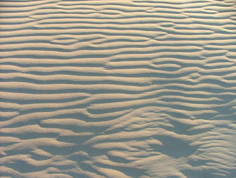 Sable